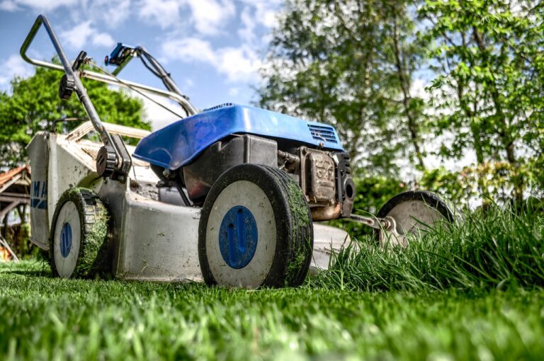 How Early Can I Mow My Lawn? A Guide to Best Practices