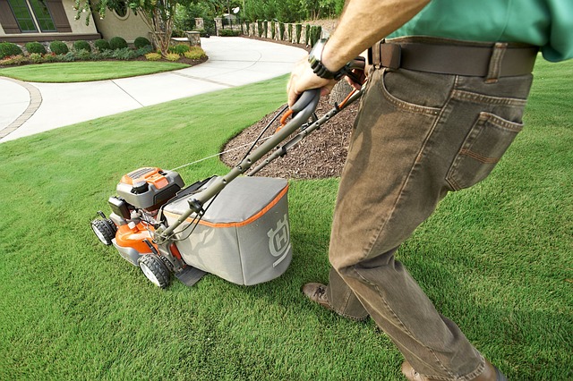 When Should You Stop Mowing Your Lawn Before Winter?