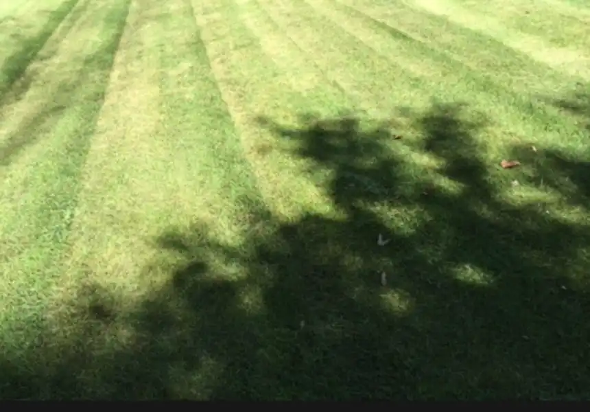  Uneven lawn due to overlapping row mistake