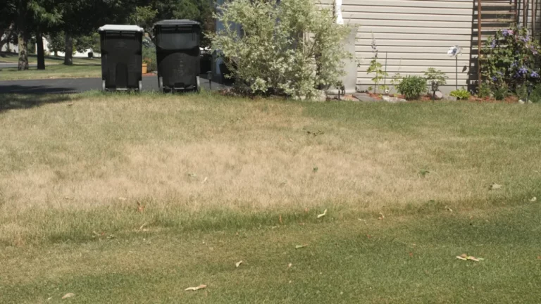 What Temperature is Too Hot to Mow the Lawn?