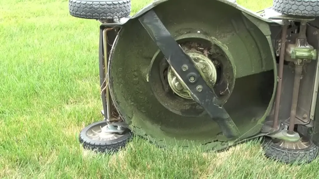 What is the Correct Blade Position On 2 Blade Mower? Lawn Inside