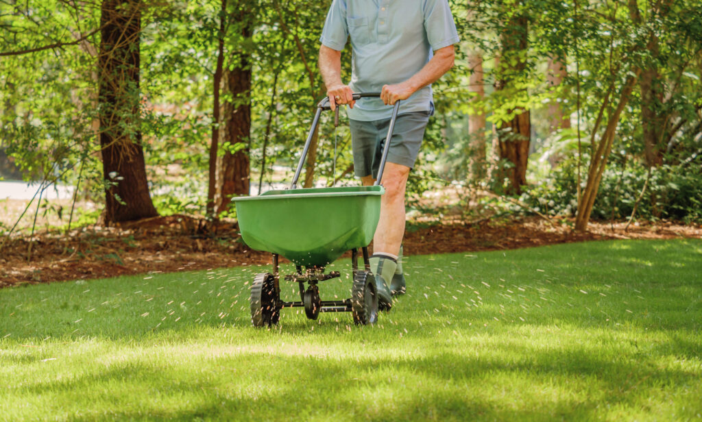 Basic Lawn Care Routine Every Homeowner Should Follow