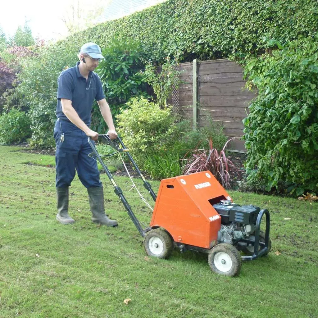 What Causes Patchy Grass and How to Fix It