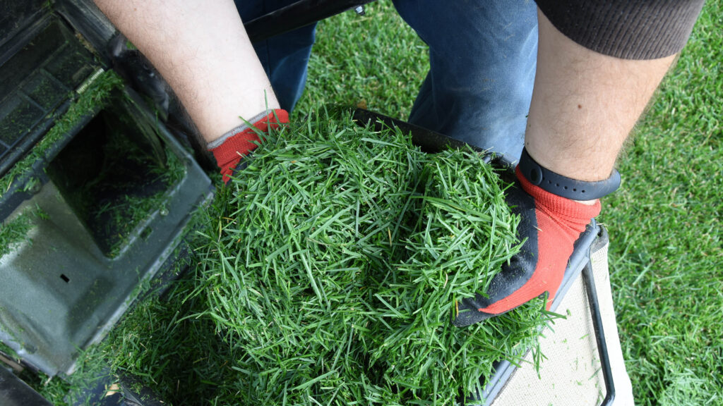 Simple Lawn Care System That Actually Works