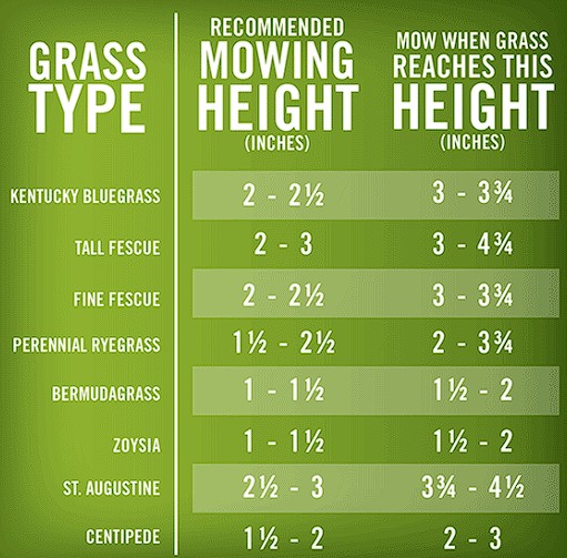 Easy Ways to Improve Lawn Health Quickly