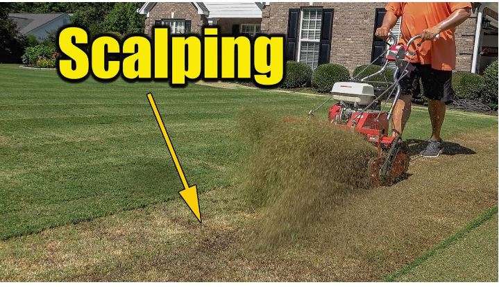 Common Lawn Care Mistakes That Destroy Grass