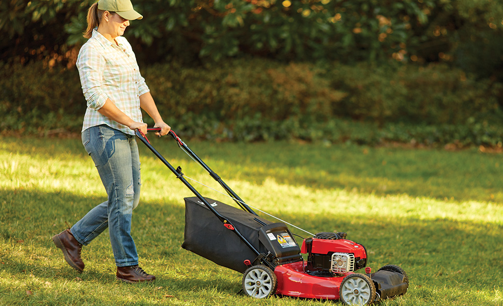 Why Most Lawn Care Routines Fail