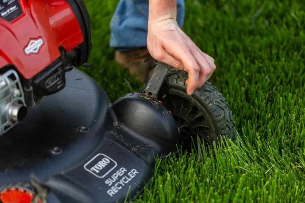 How to Get a Greener Lawn Without Expensive Products