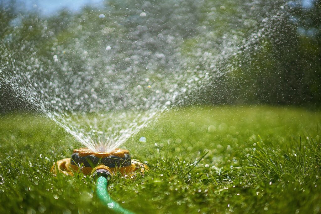 Why Most Lawn Care Routines Fail