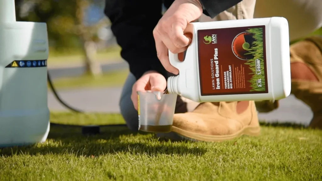 Simple Tricks to Improve Lawn Color Naturally