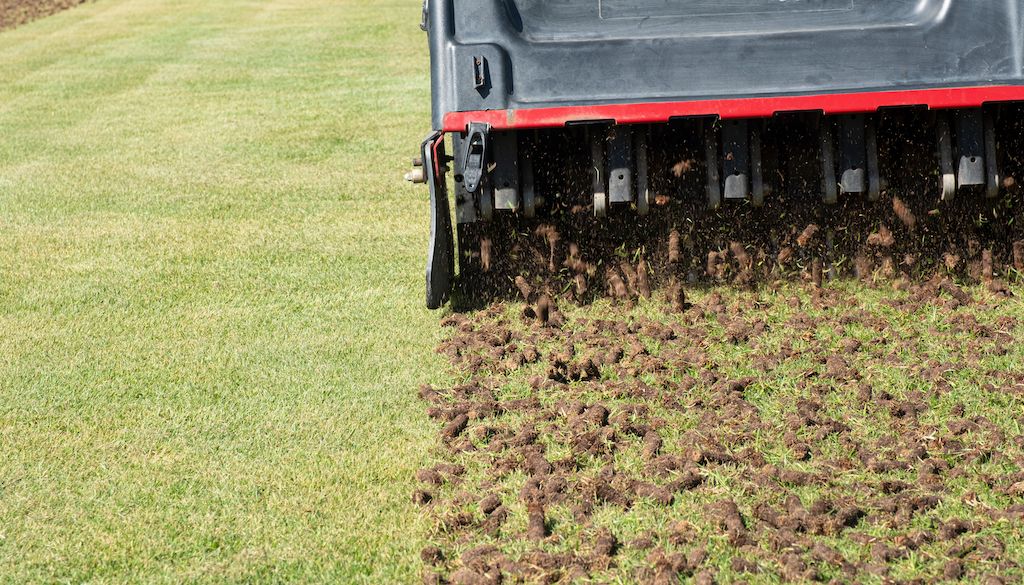 Why Lawn Needs Aeration