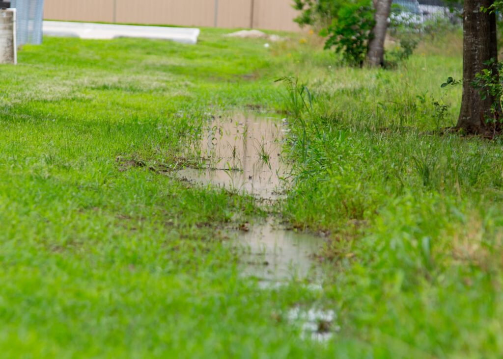Why Water Isn’t Absorbing Into Your Lawn Soil