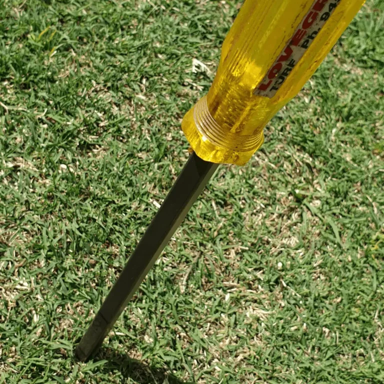 Why Compacted Soil Stops Grass Growth