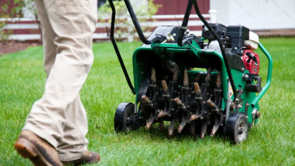How to Keep Grass Healthy Year-Round