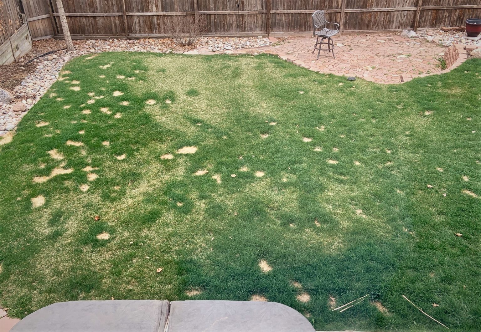Why Grass Looks Burnt Without Heat