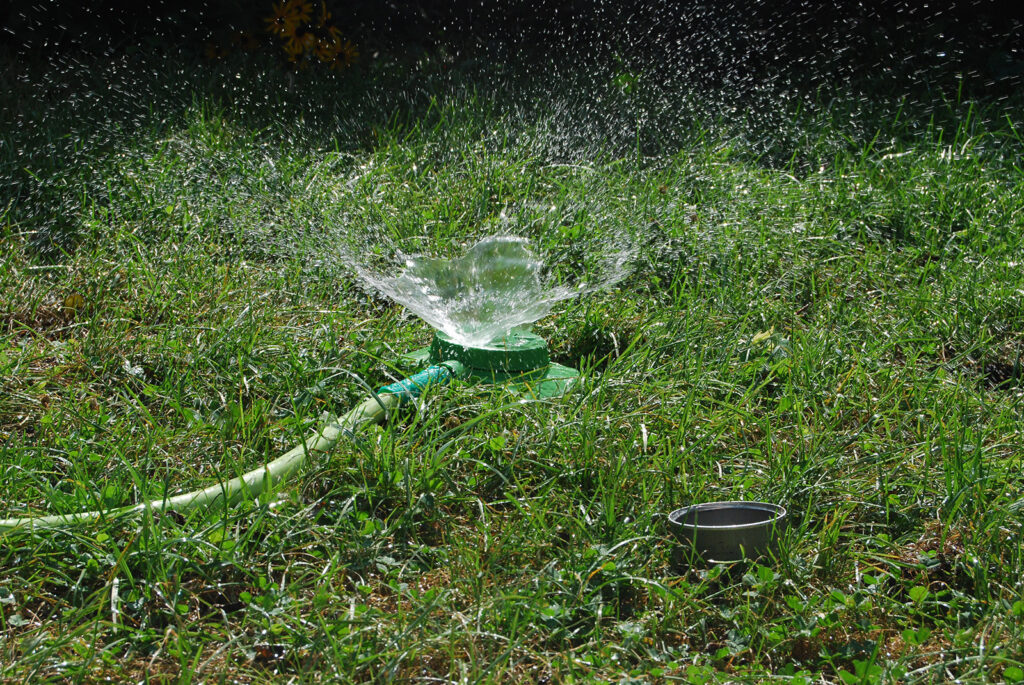 The Ultimate Lawn Watering Guide