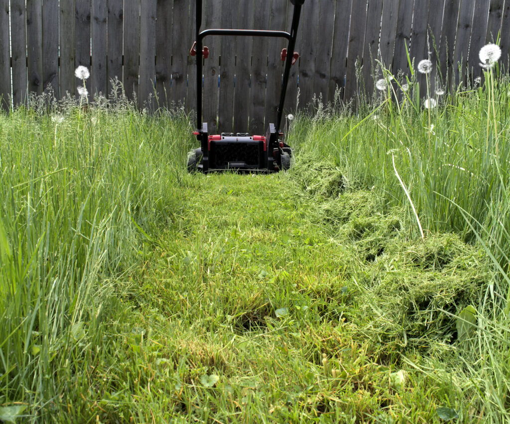 Common Reasons a Lawn Mower Loses Power