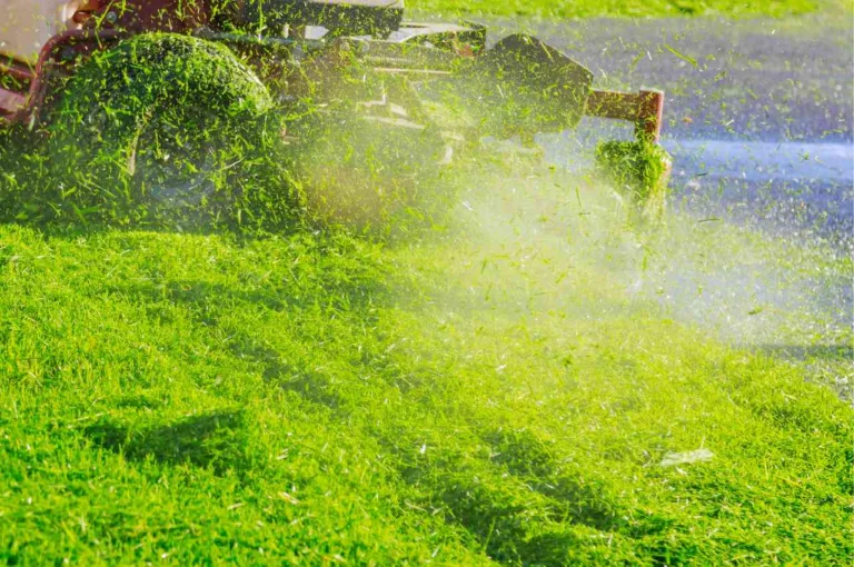 Is It Better to Mow Wet or Dry Grass?