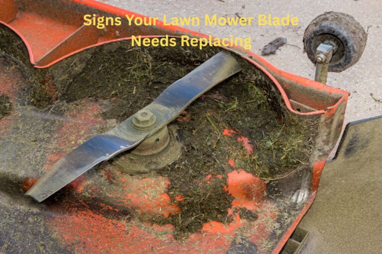 Signs Your Lawn Mower Blade Needs Replacing