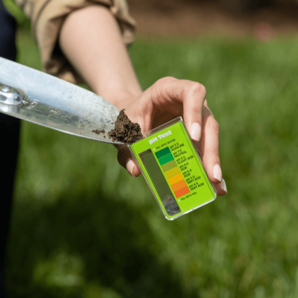 Why Soil Quality Controls Grass Health