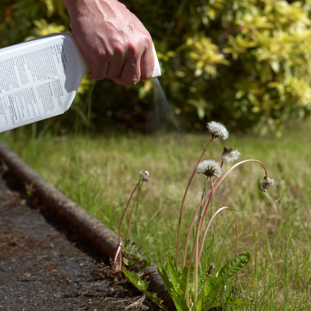 How to Stop Weed Growth Naturally