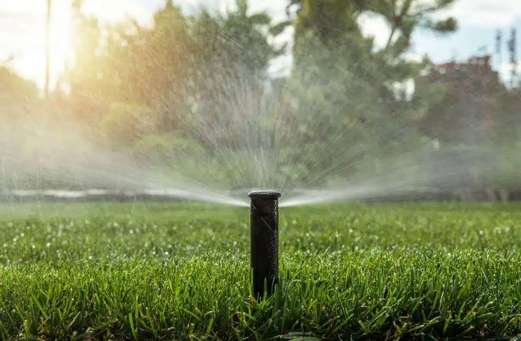 The Ultimate Lawn Watering Guide