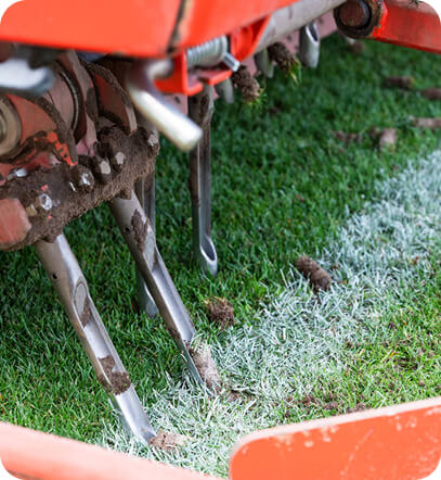 Why Your Lawn Looks Sick Overall