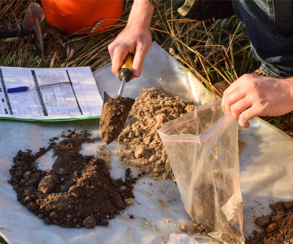 How to Test Lawn Soil at Home