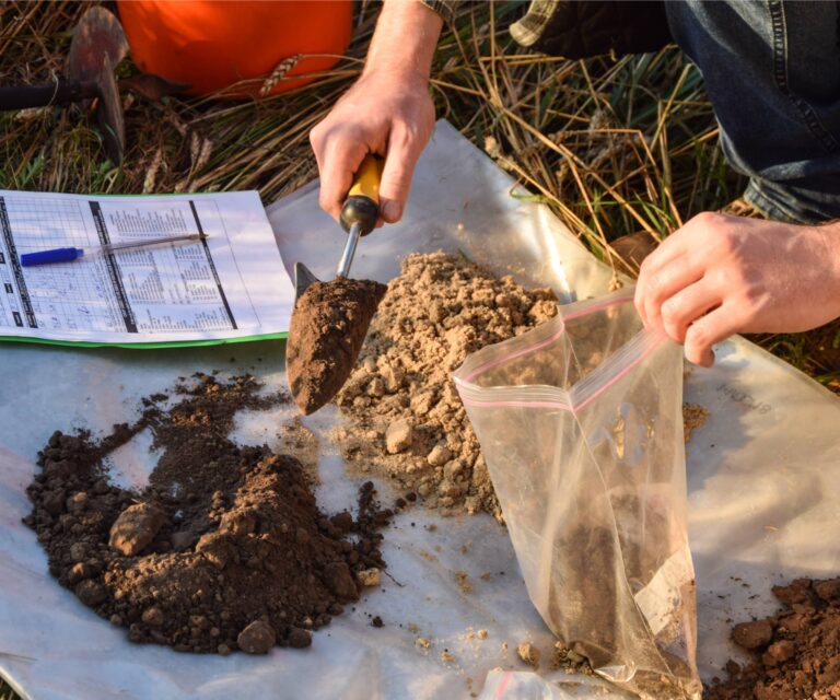 How to Test Lawn Soil at Home