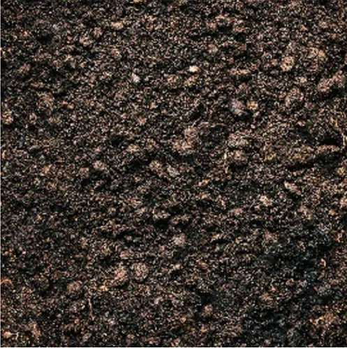 Why Grass Depends on Microorganisms
