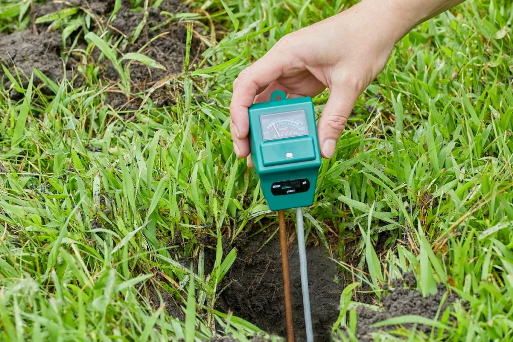 How Soil pH Affects Grass