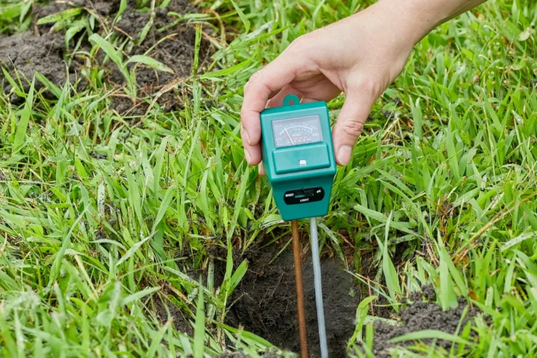 How Soil pH Affects Grass