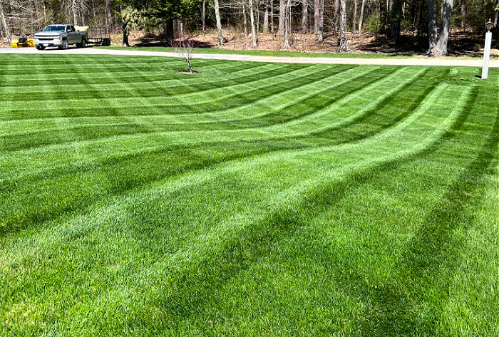 Common Lawn Mowing Mistakes