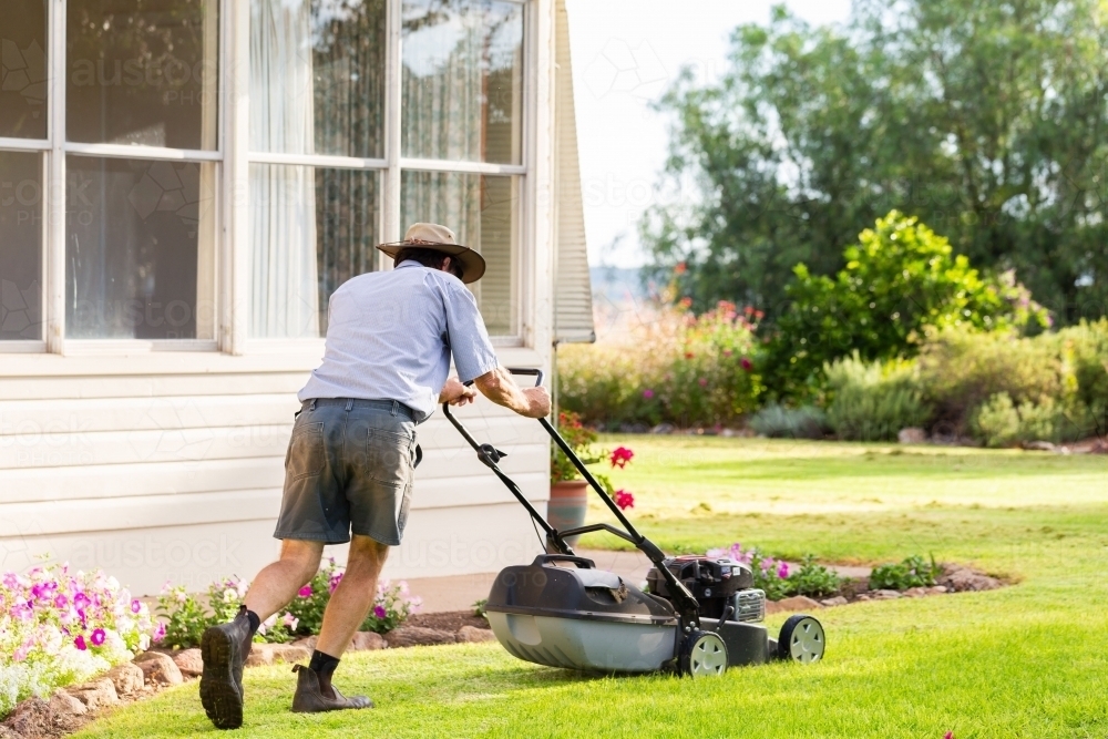How Often Should You Really Mow Your Grass?