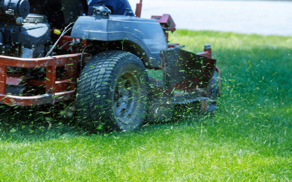Why Grass Smells Bad