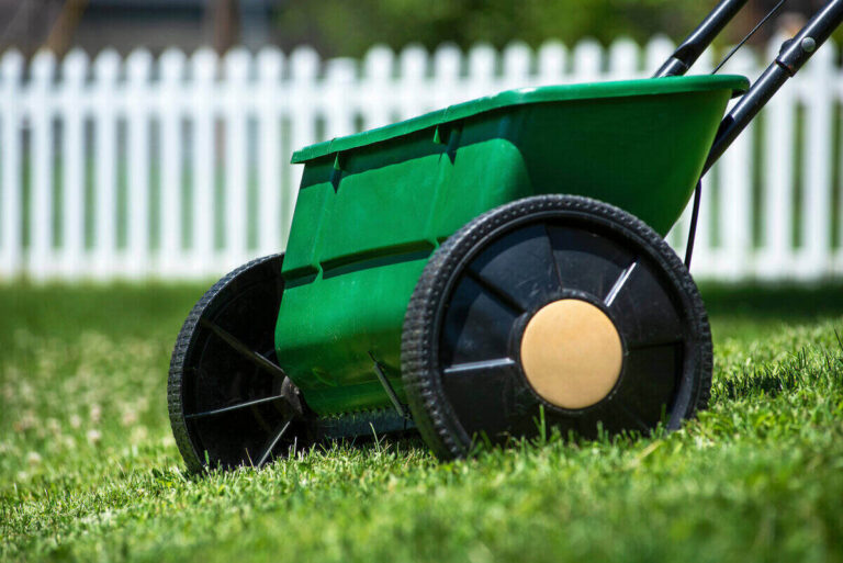 How to Keep Grass Healthy Year-Round