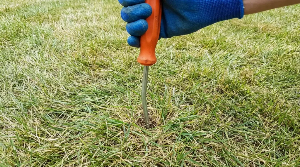 Why Compacted Soil Stops Grass Growth