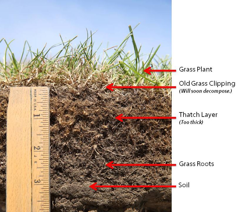 Why Water Doesn’t Seem to Help Your Grass