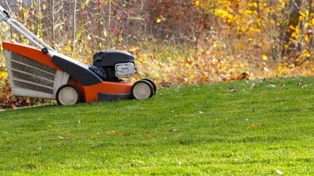 When Should You Stop Mowing Your Lawn?